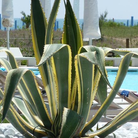 Hotel Mediterraneo Suite&Residence Lido di Jesolo Eksteriør billede
